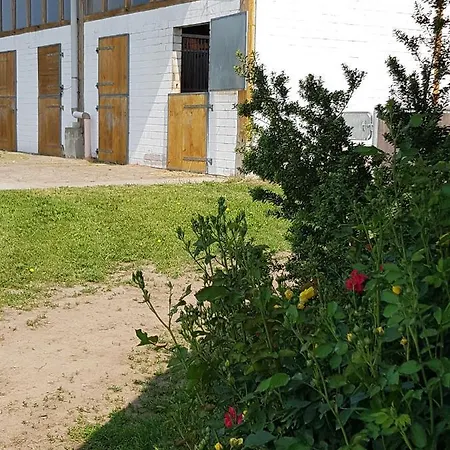 Reitanlage Duffner Horst (Mecklenburg-Vorpommern)